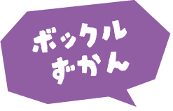 ボックルずかん